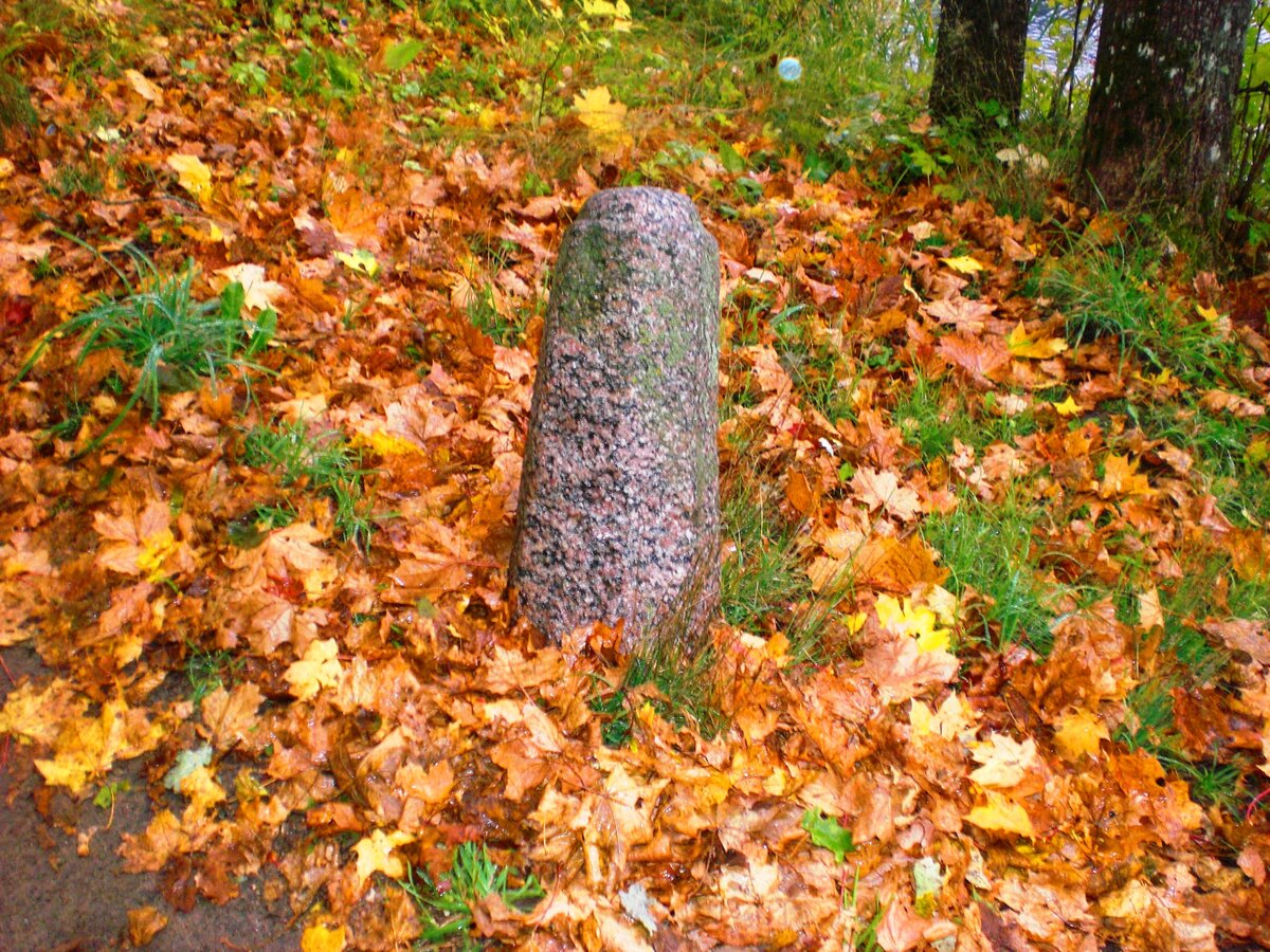 CIMG0061.JPG
