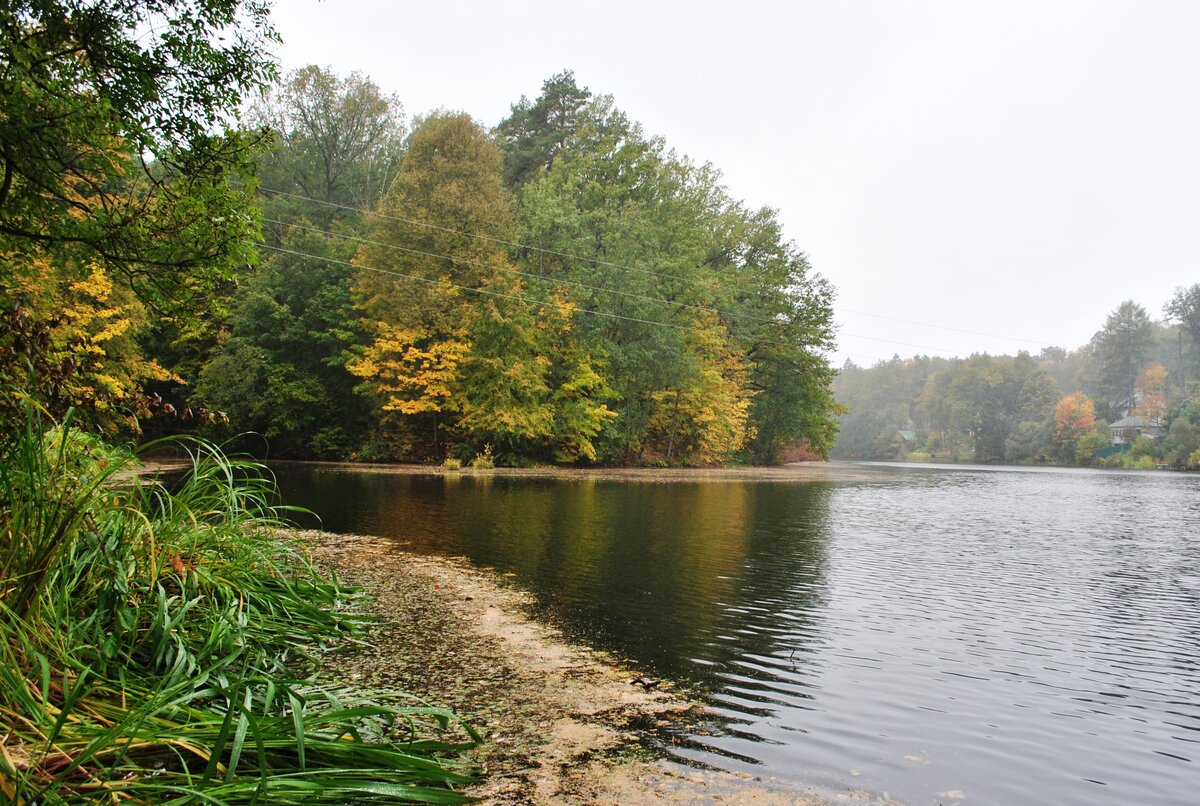 DSC_9461.JPG