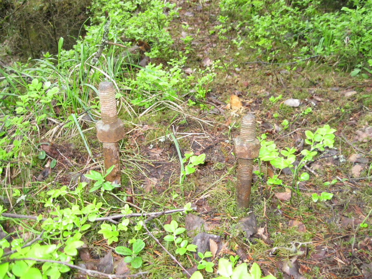 IMG_3306.JPG