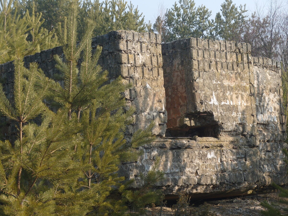 S1058532.JPG