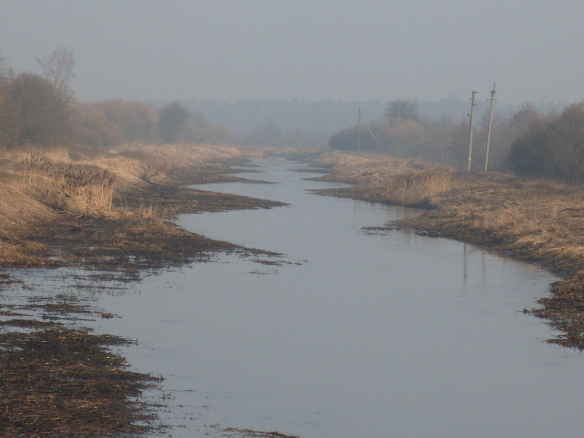 S1058522.JPG