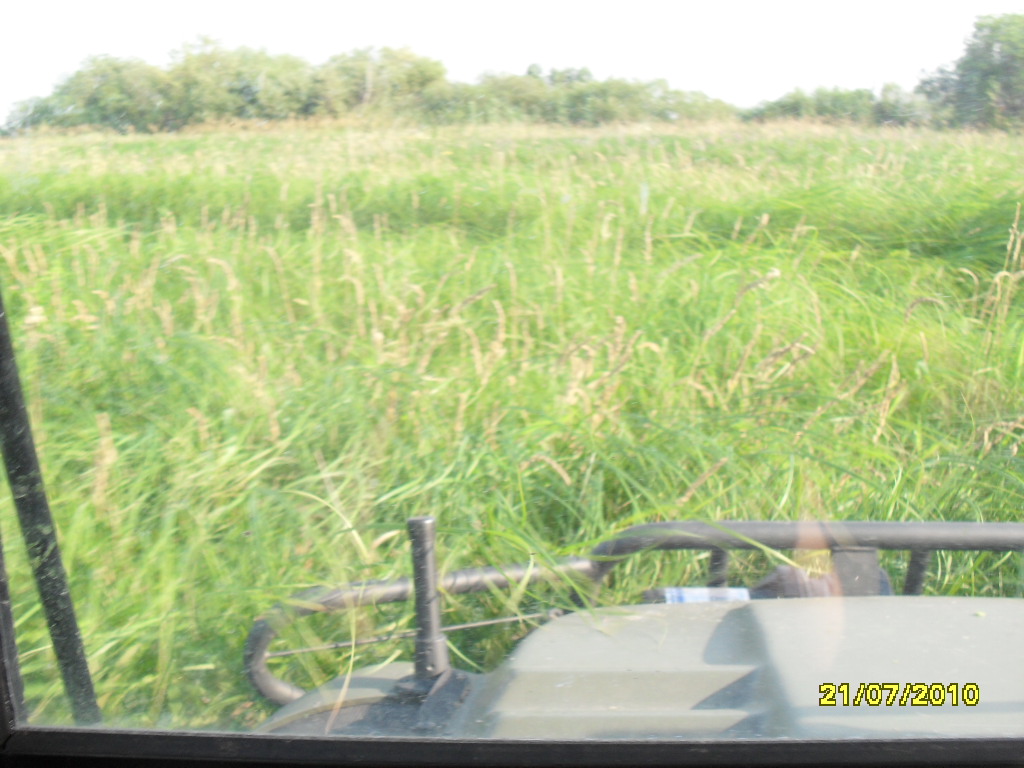 SDC14388.JPG