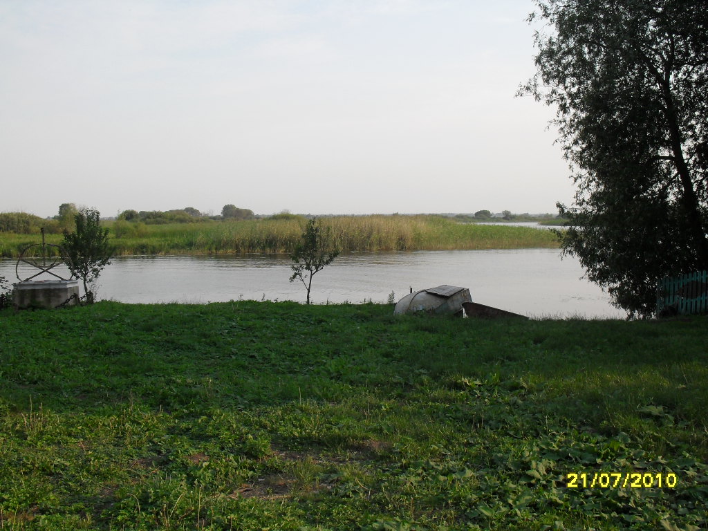 SDC14404.JPG