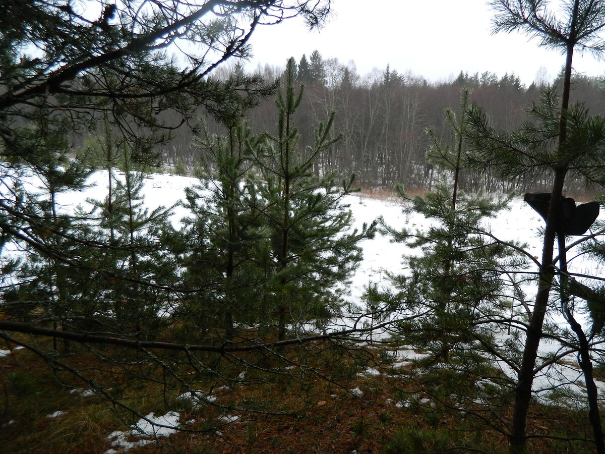 DSCN0937.JPG
