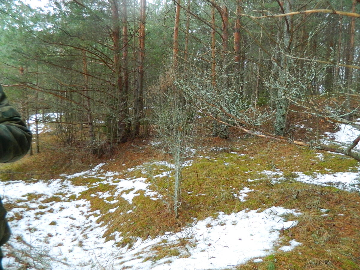 DSCN0944.JPG