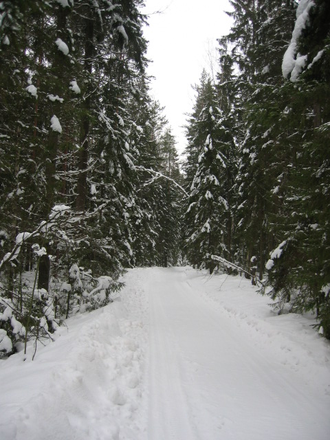 STA_0017.JPG