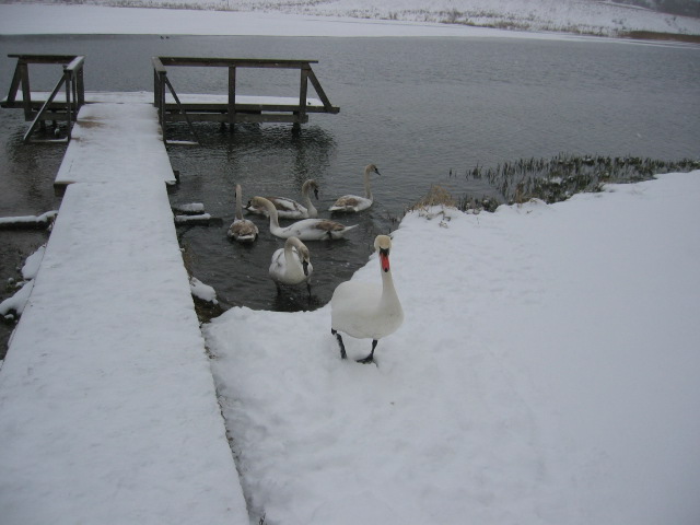 STA_3200.JPG