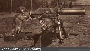 1837400m.jpg