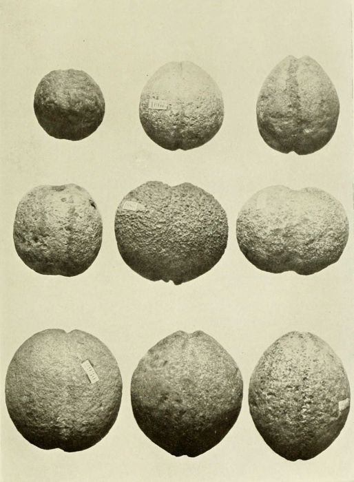 illus-167.jpg
