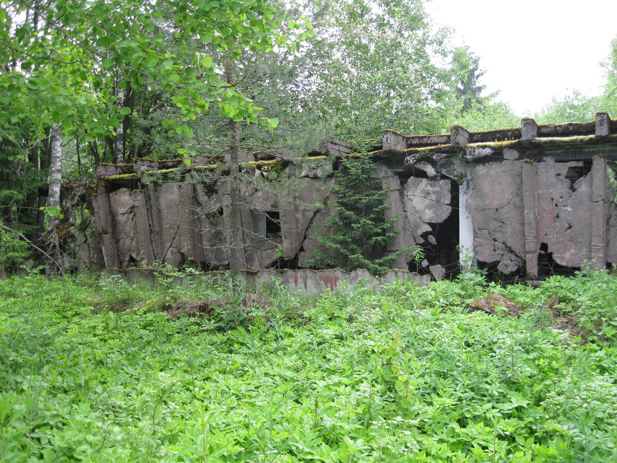 IMG_3333.JPG