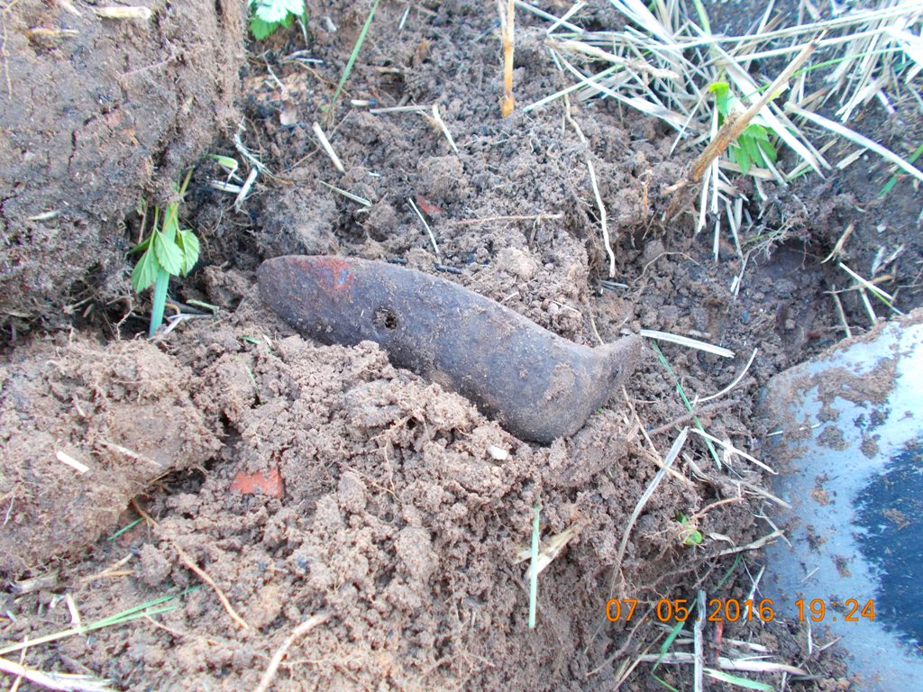 DSCN5623.JPG