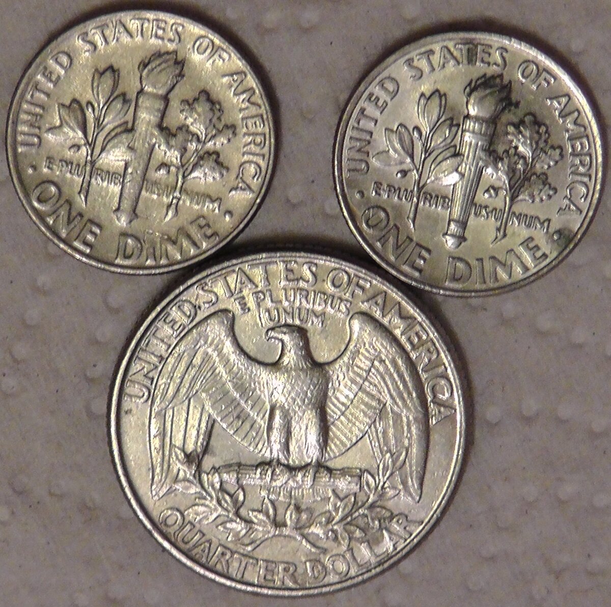 S2210073.JPG