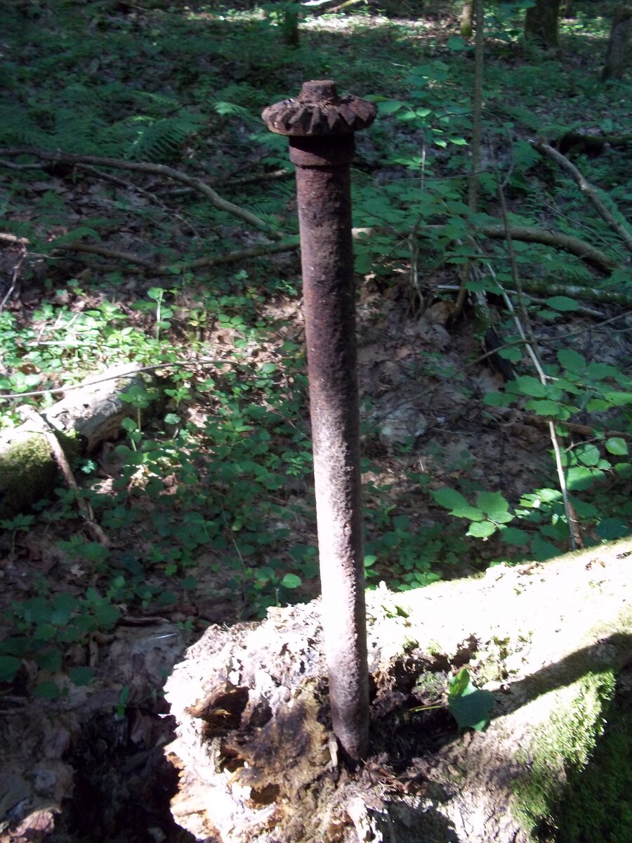 100_6494.JPG
