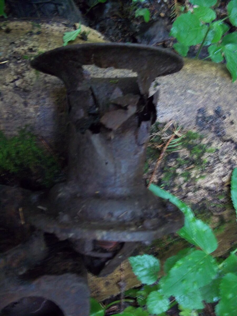 100_6484.JPG