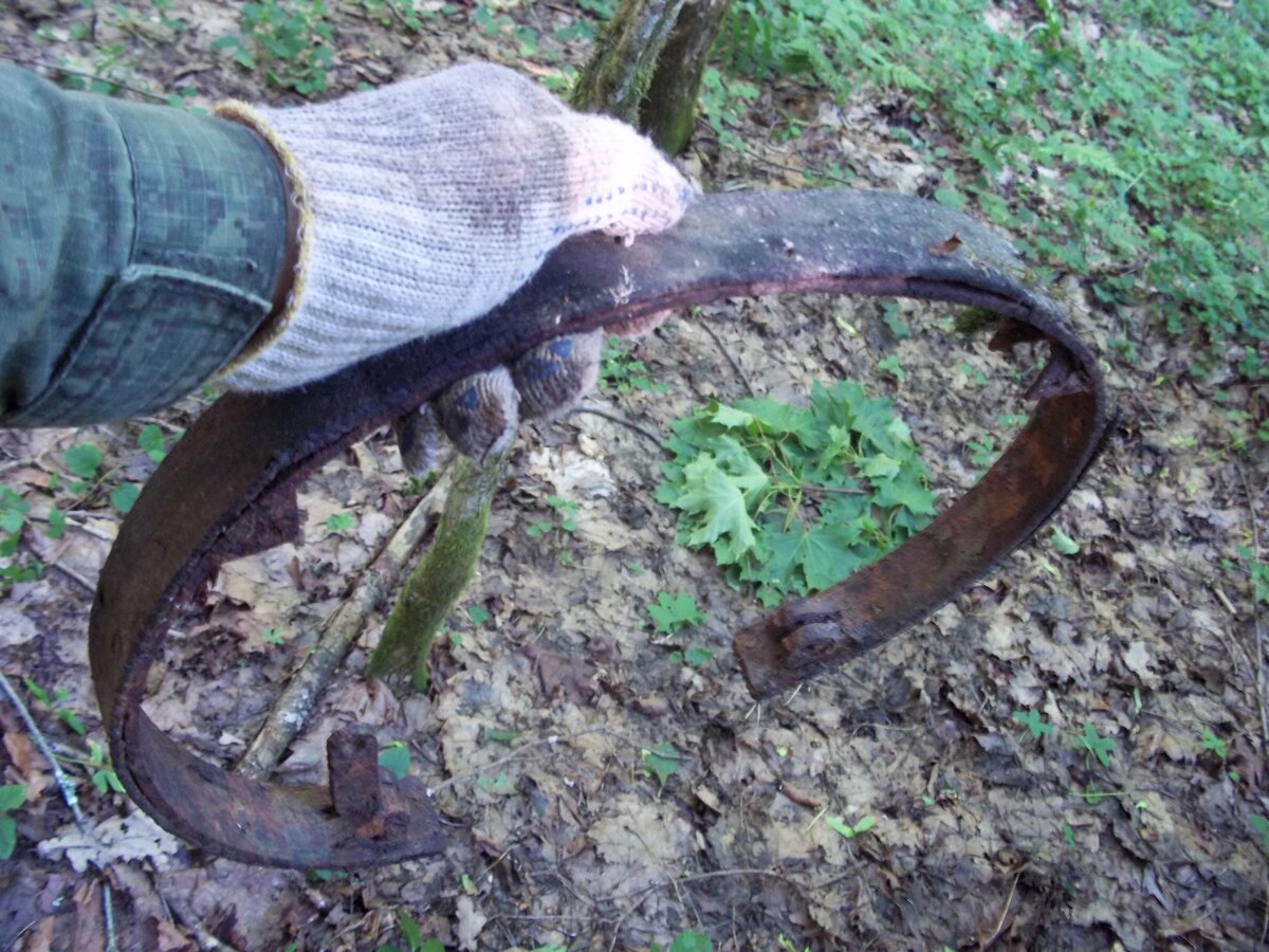 100_6497.JPG