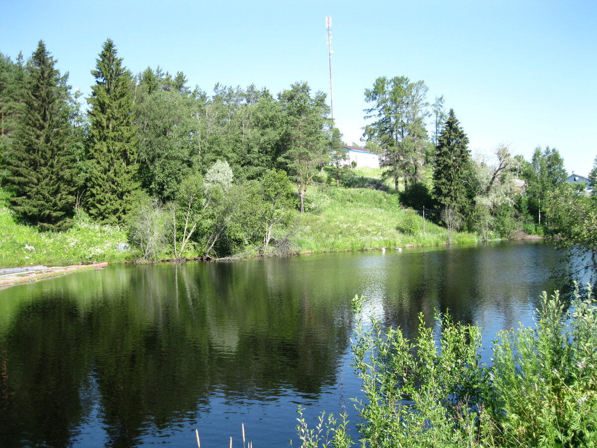 IMG_3556.JPG