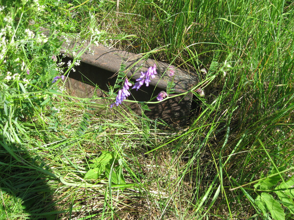 IMG_3542.JPG