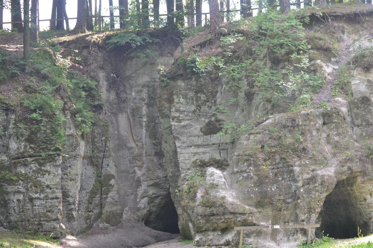 DSC_0039.JPG