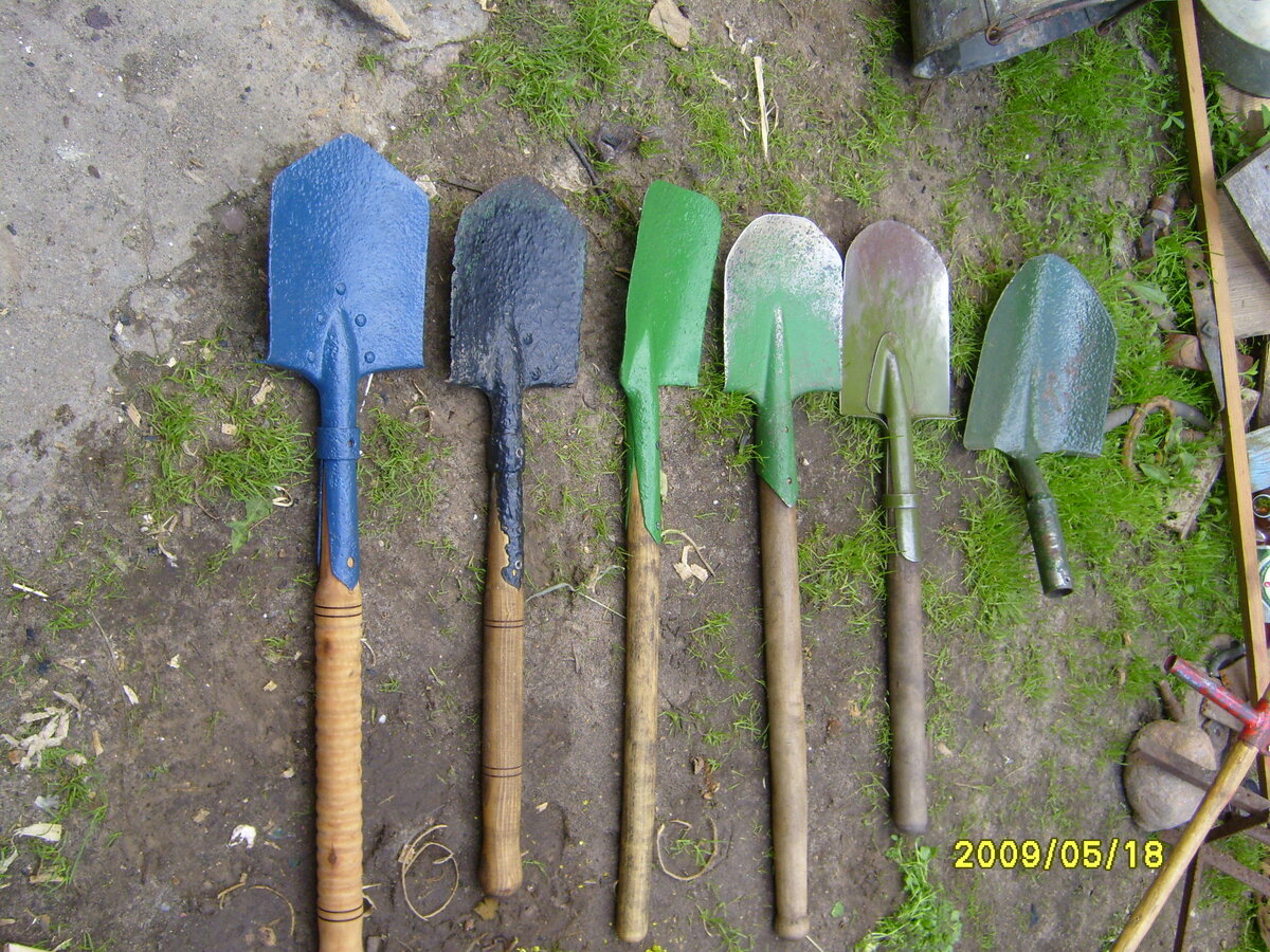 S7004333.JPG