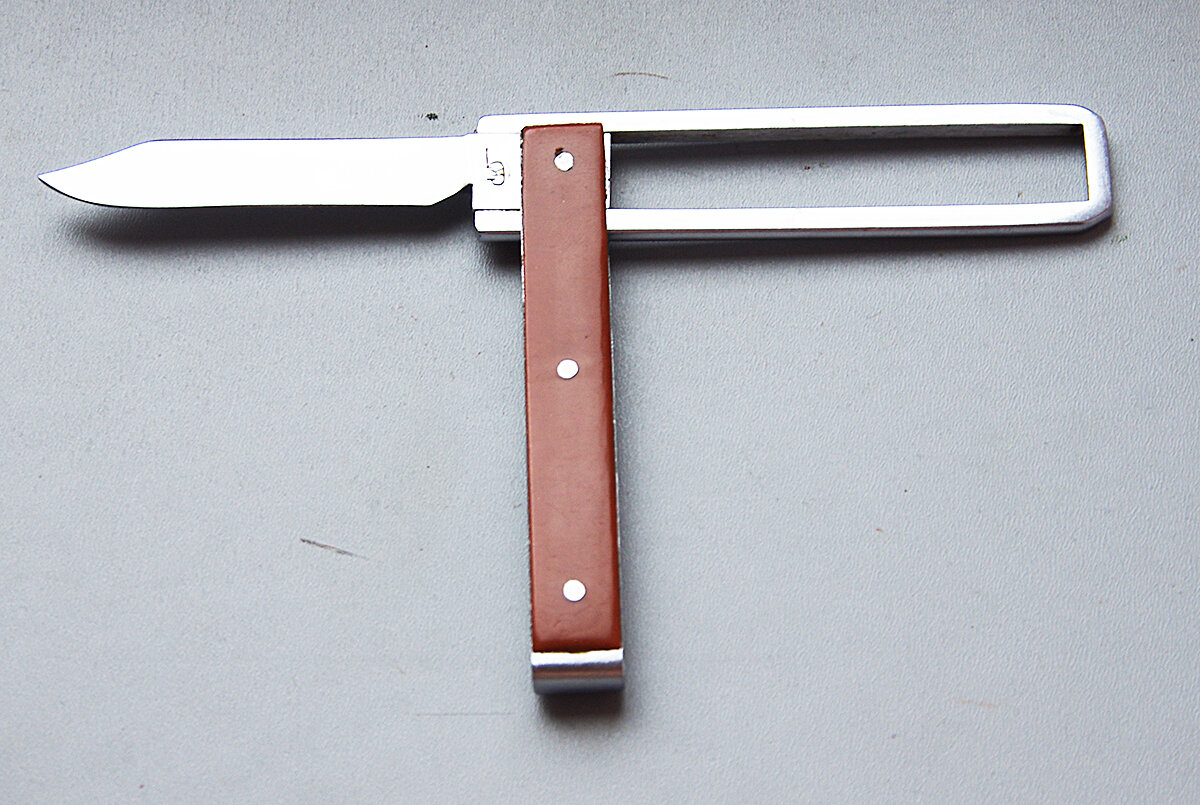 IMGP2239.JPG