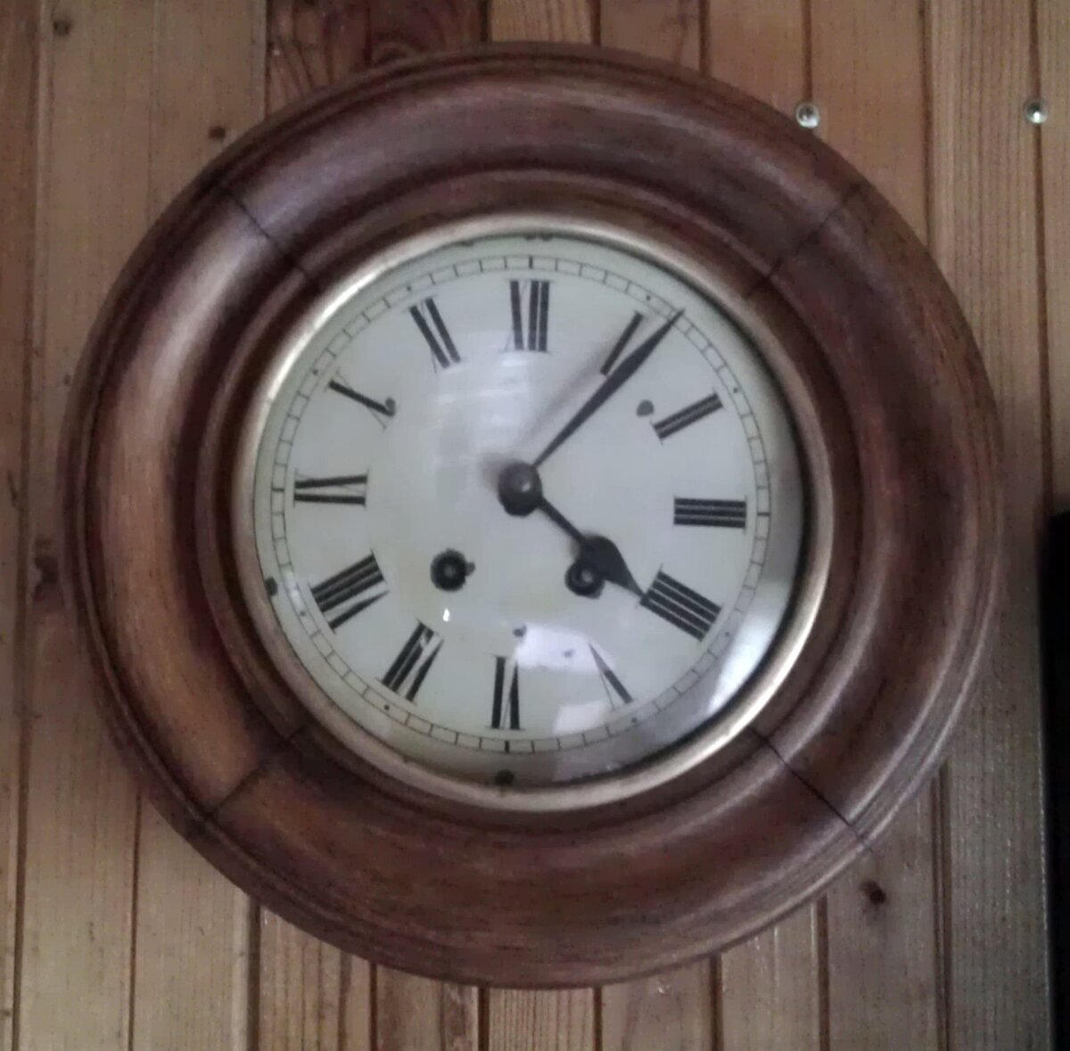 IMAG0446.jpg