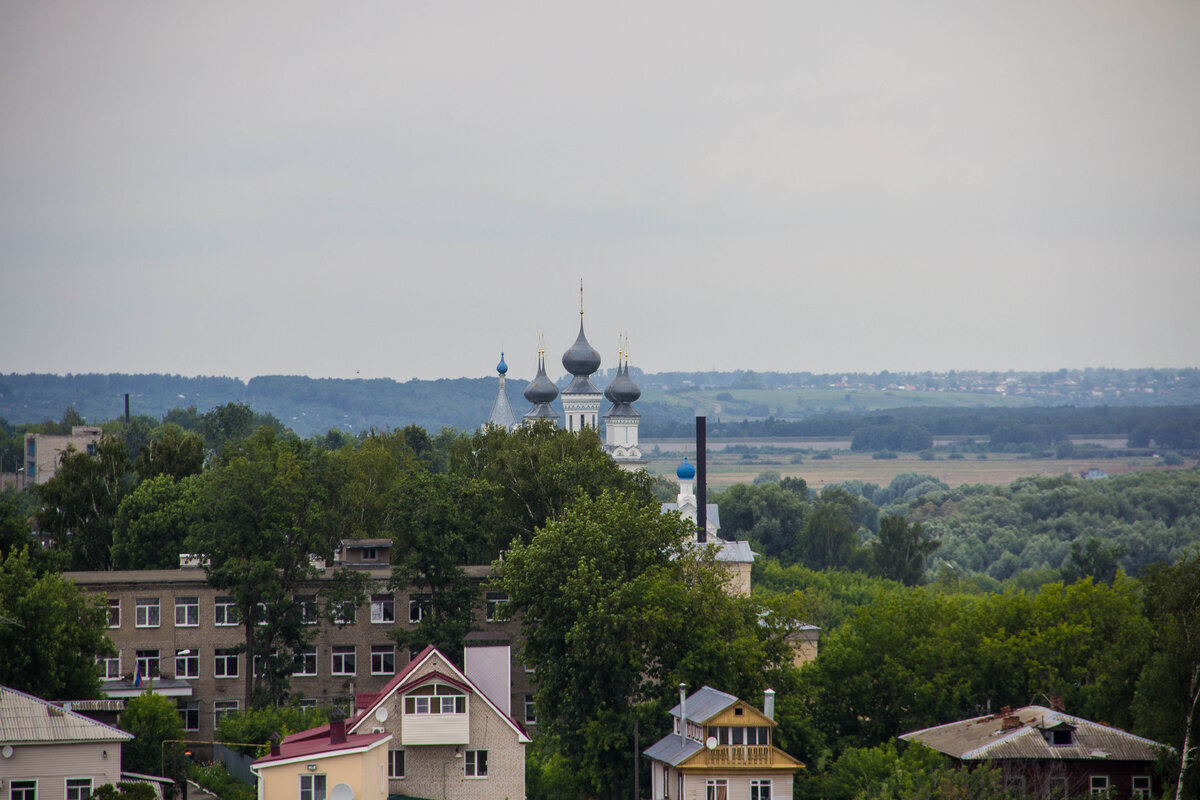 IMG_7126.jpg