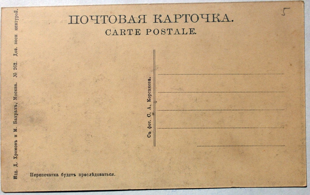 10517727.jpg