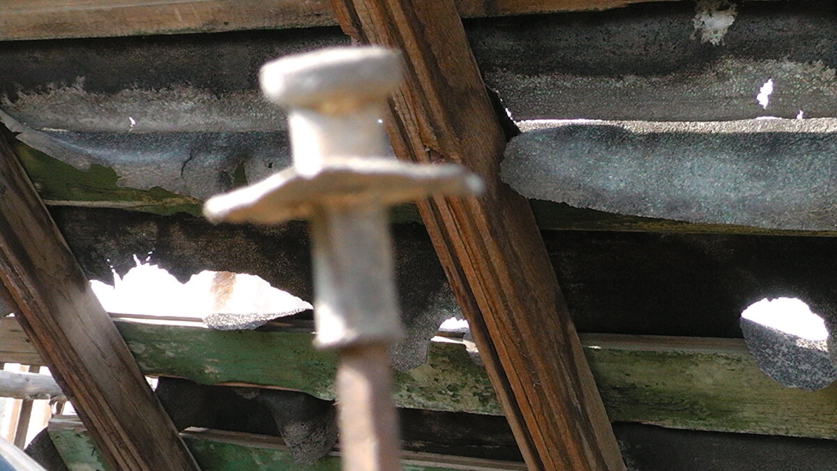 S2560021.JPG