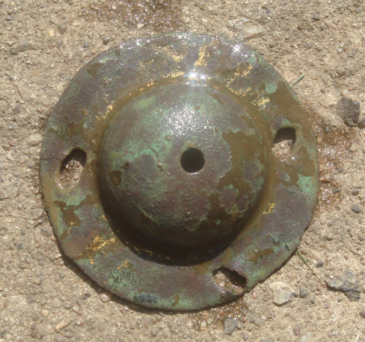 DSC01072_1.jpg