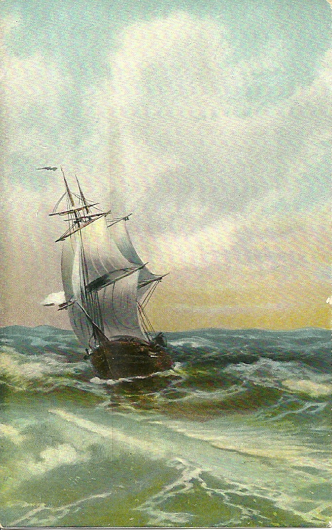 137.jpg