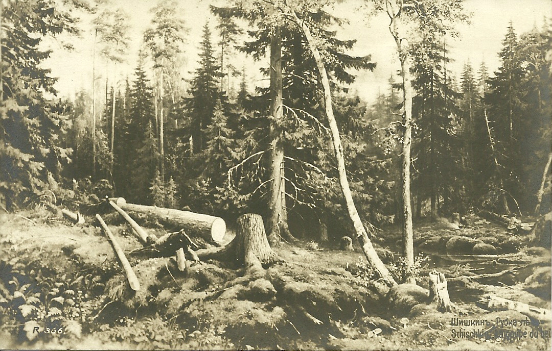 198.jpg