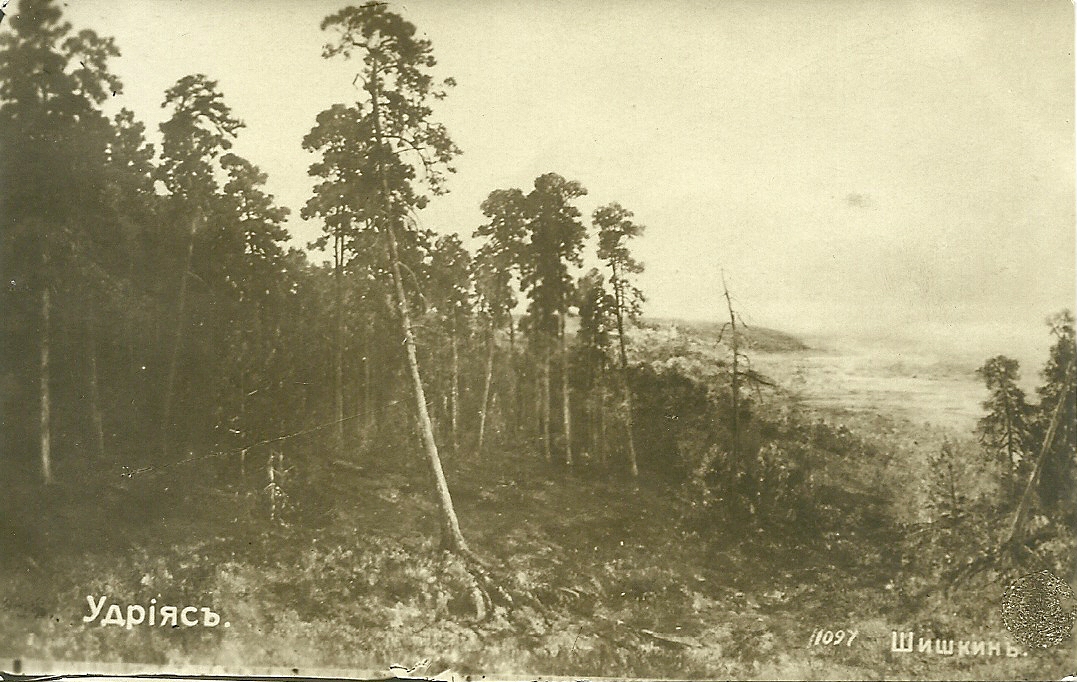 203.jpg
