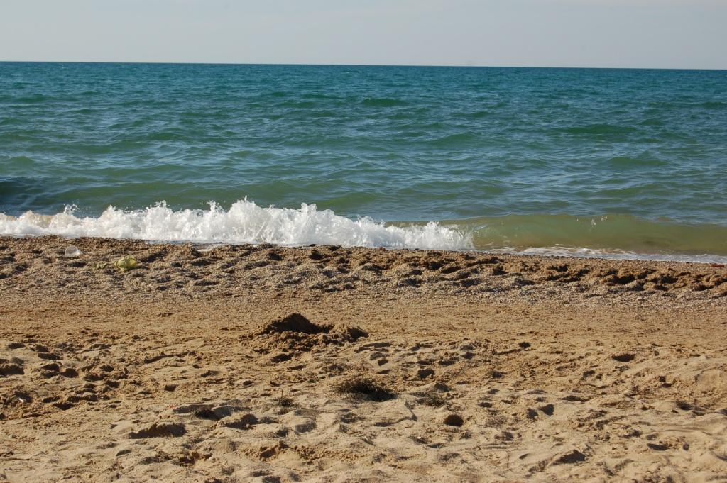 DSC_0396.JPG