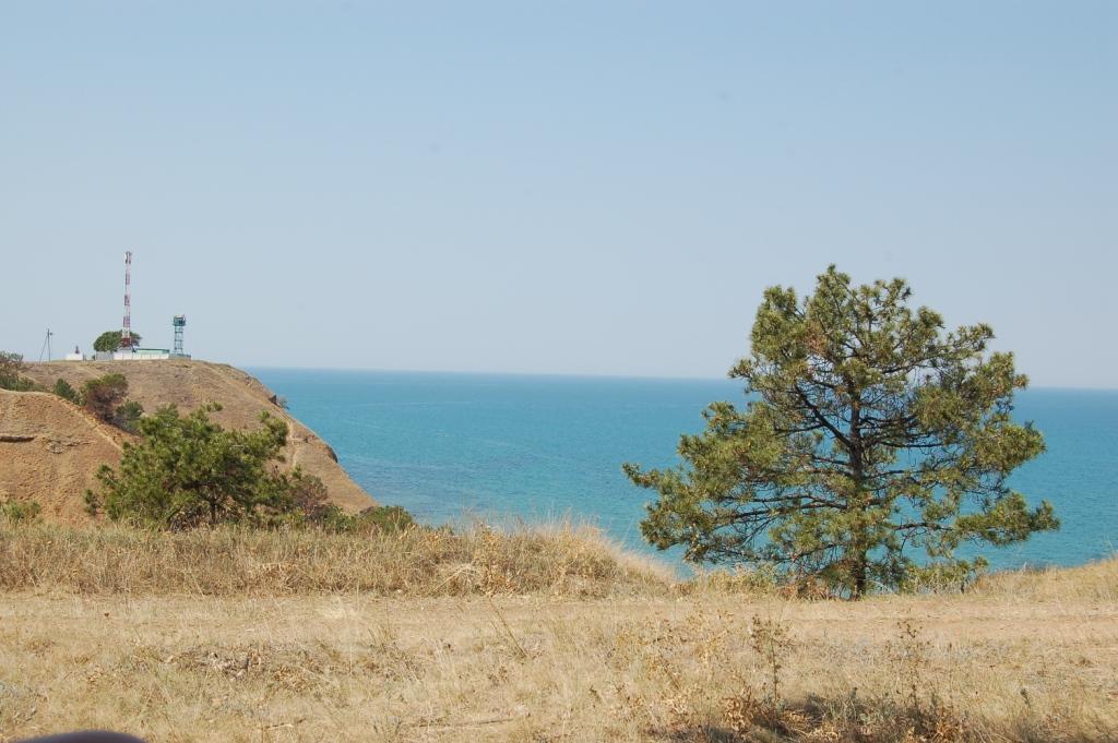 DSC_0430.JPG
