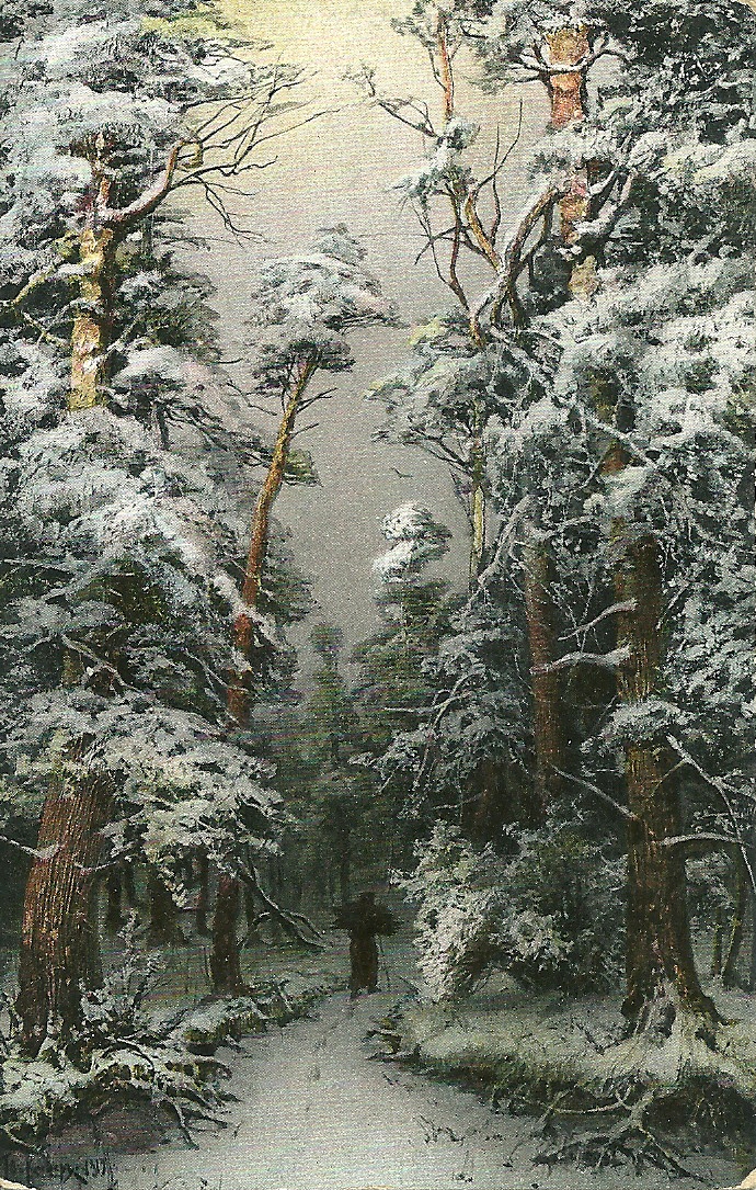 393.jpg