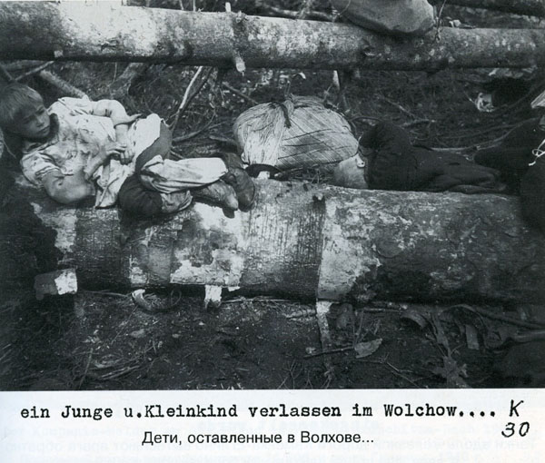 cfffb0df954f.jpg