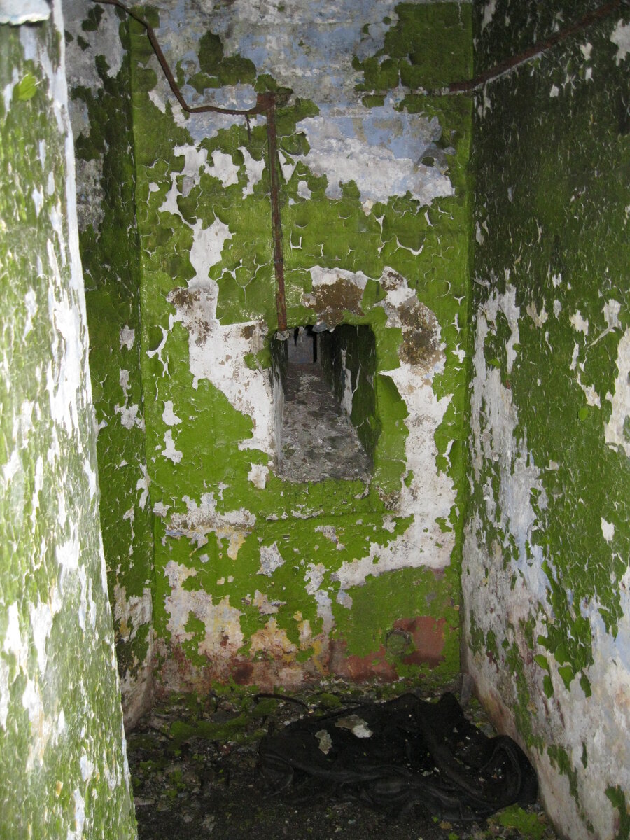 IMG_4008.JPG