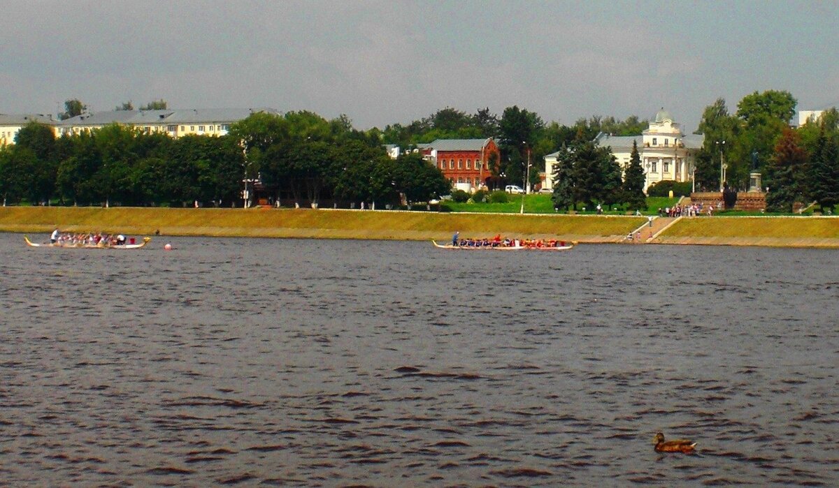 image (11).jpg