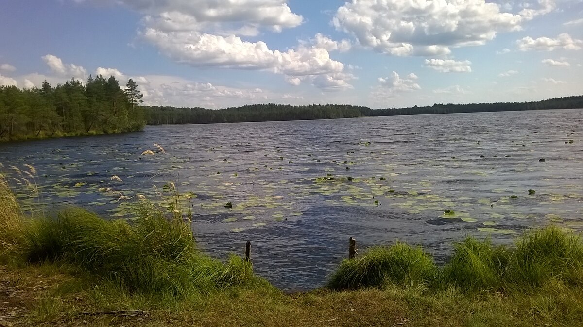 WP_20160811_002.jpg
