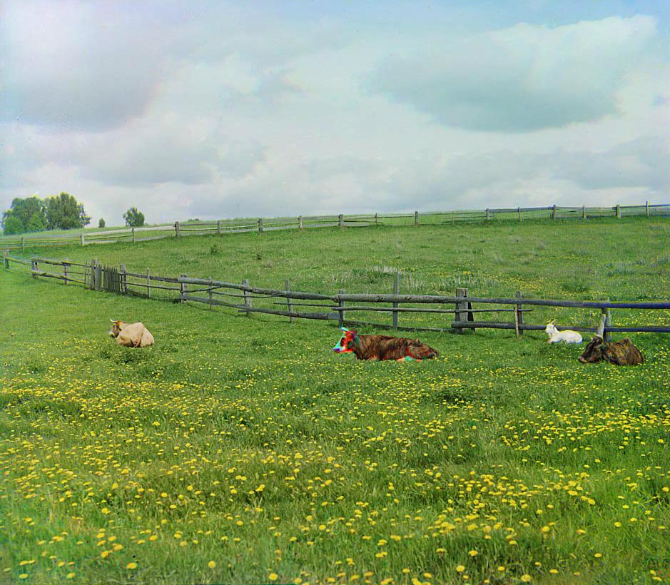 1139b.jpg