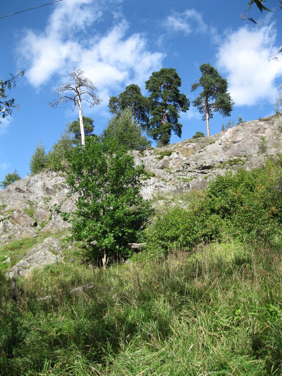 IMG_4099.JPG
