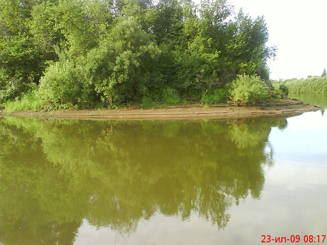 19.jpg