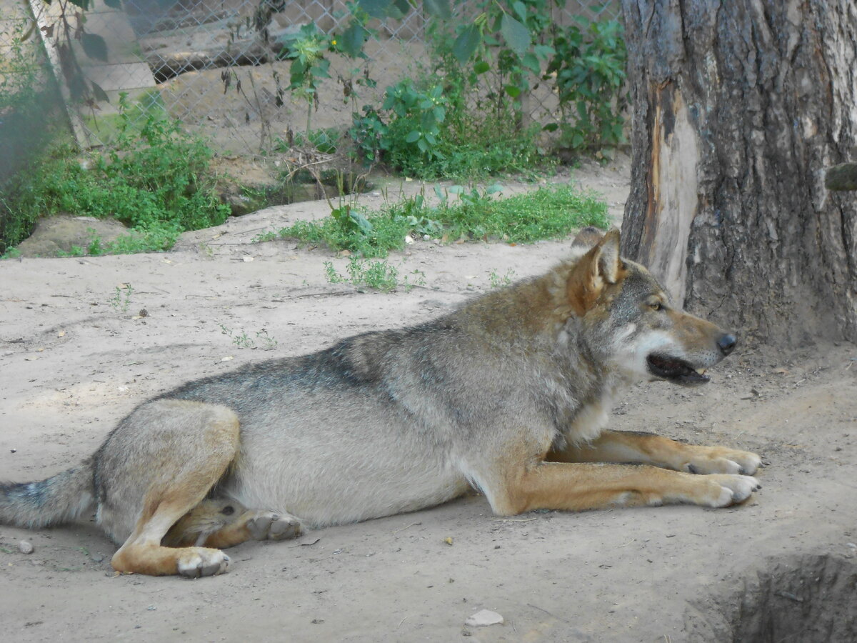 DSCN1059.JPG