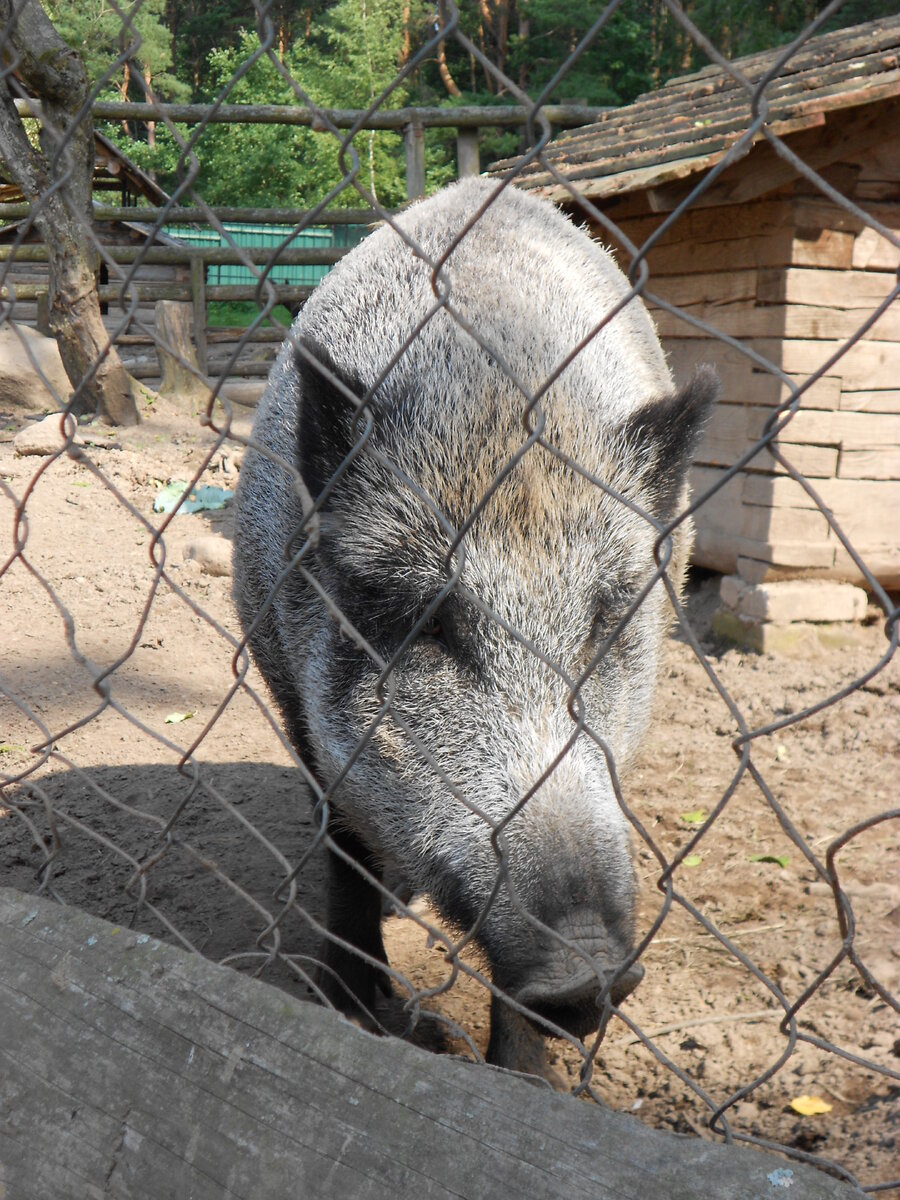 DSCN1064.JPG