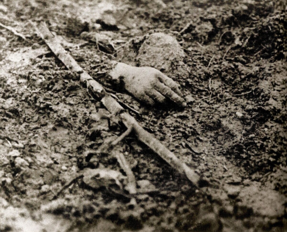World_War_I_Great_One_WWI_severed_hand_battlefield_mud.jpg