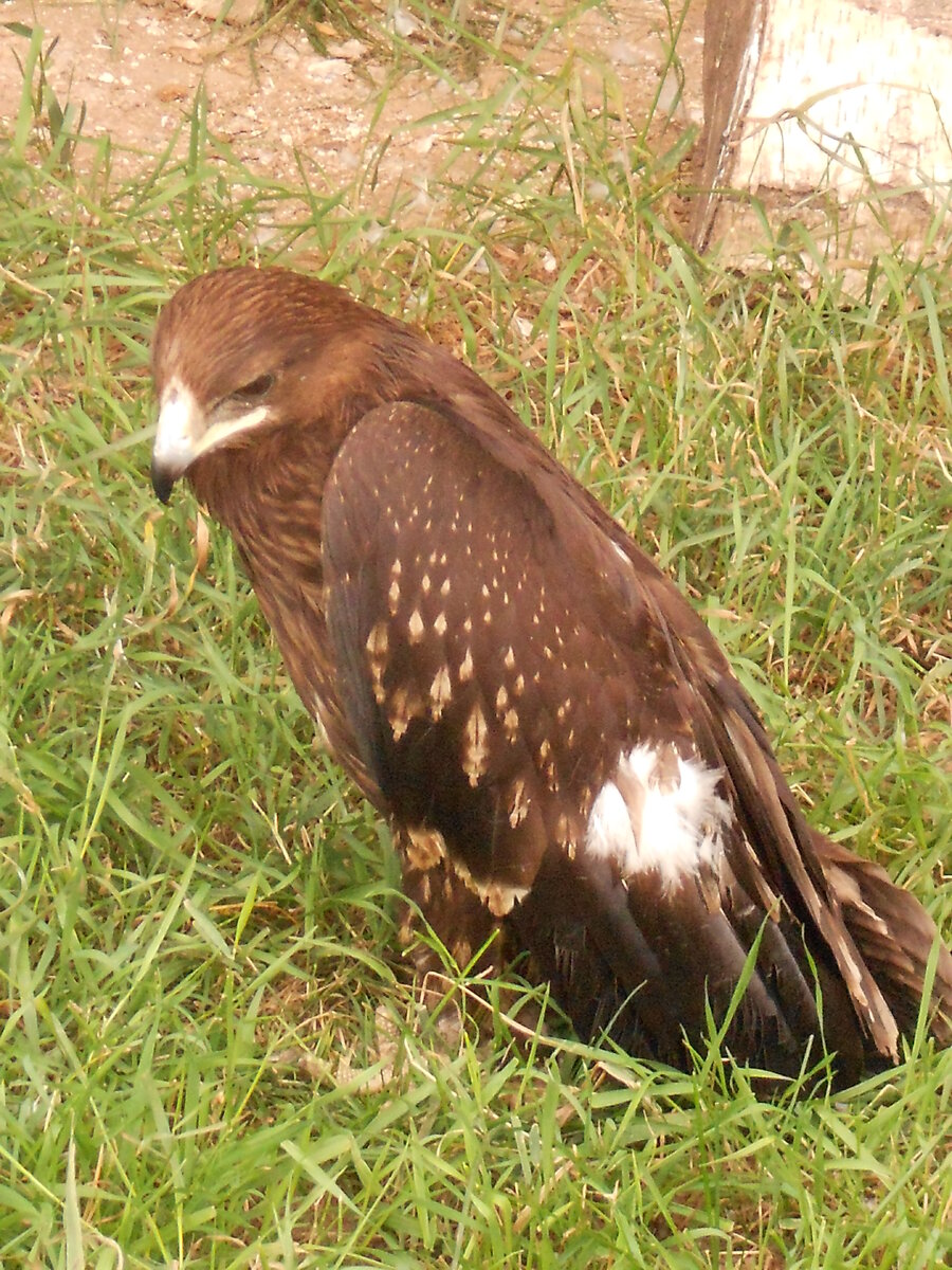 DSCN1137.JPG
