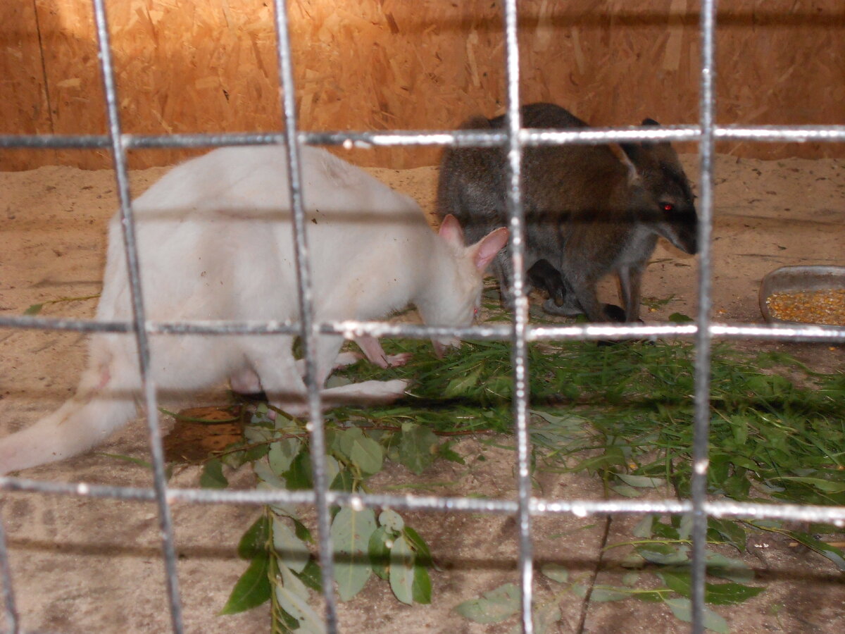 DSCN1171.JPG