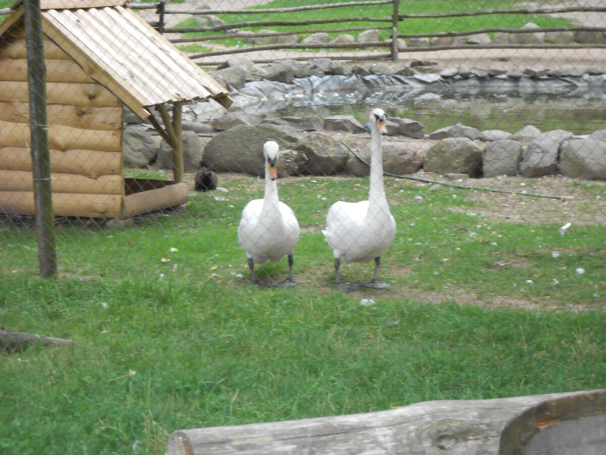 DSCN1181.JPG