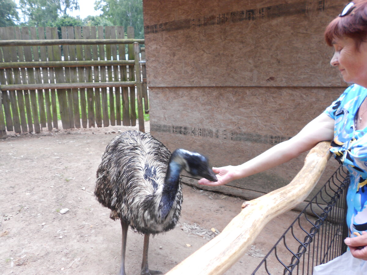DSCN1204.JPG