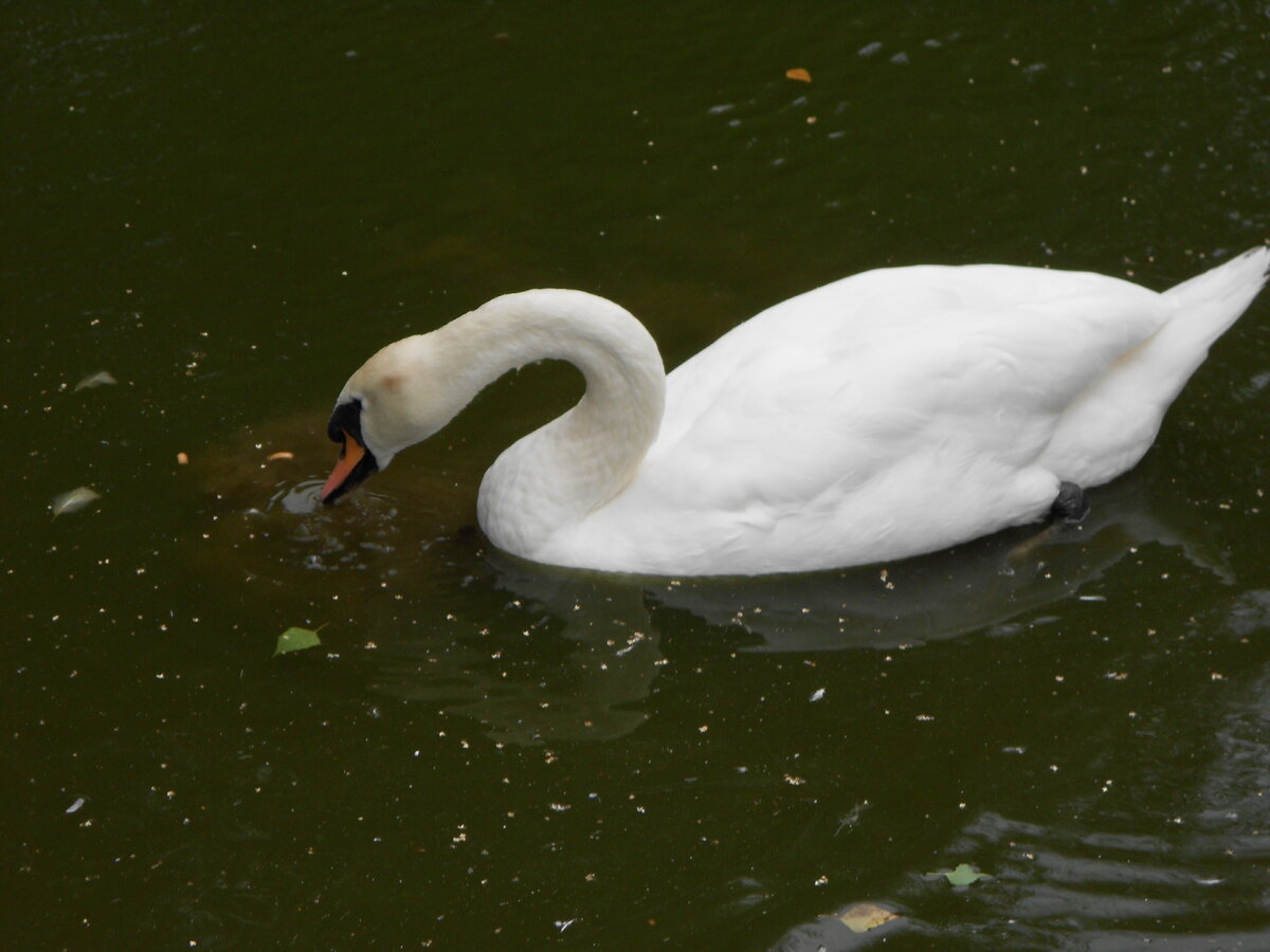 DSCN1206.JPG